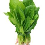 spinach(palak)500mg