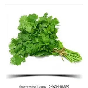 corianderleaves(dhaniya pata)250gm