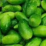 Fresh Ivy Gourd  (Kundru / Tindora)500gm