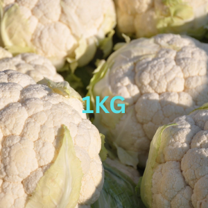 Fresh Cauliflower (Gobhi)1kg