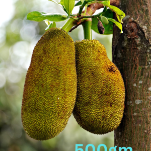 Fresh Jackfruit (Kathal)500gm