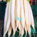 Fresh Radish(muli)1kg